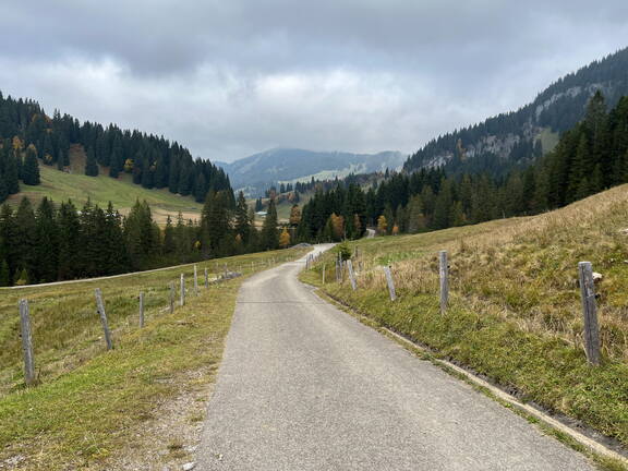 IMG 4770